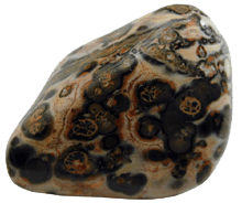 Leoparden Jaspis 